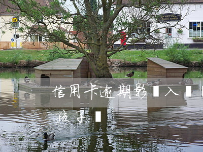 信用卡逾期影響入戶嗎(欠信用卡逾期會影響孩子嗎)