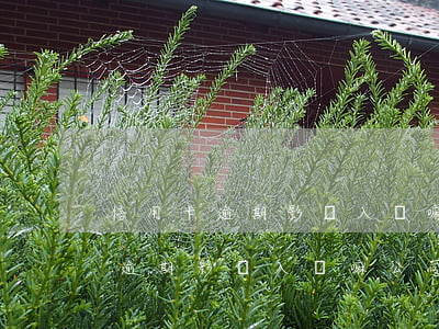 信用卡逾期影響入職嘛公司怎么處理（信用卡逾期影響入職嘛公司）