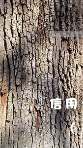 信用卡逾期影響入職嘛知乎(我信用卡逾期了會(huì)影響工作嗎)