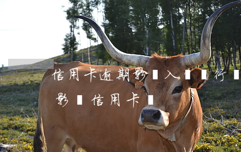 信用卡逾期影響入職銀行嗎(銀行貸款逾期會影響信用卡嗎)