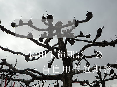 信用卡逾期影響公務員政審嗎公務員政審嗎-有信用卡逾期影響公務員政審嗎