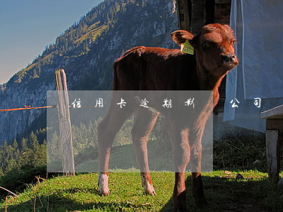 信用卡逾期影響公司嗎 逾期會影響信用卡嗎
