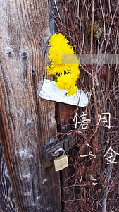 信用卡逾期影響公司繳納五險(xiǎn)一金嗎-信用卡逾期影響公司繳納五險(xiǎn)一金嗎