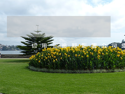 信用卡逾期影響公司繳納社保嗎