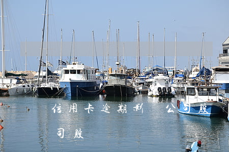 信用卡逾期影響公司股東(信用卡逾期影響公司股東嗎)