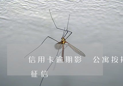信用卡逾期影響公寓按揭(公寓租房逾期了上征信嗎)