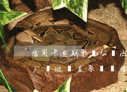 信用卡逾期影響公檢法政審嗎-公務(wù)員政審直系親屬信用卡逾期有影響嗎?
