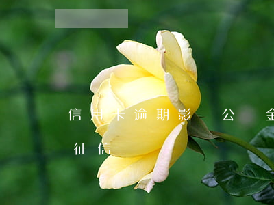 信用卡逾期影響公積金貸款(公積金逾期影響征信)