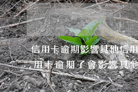 信用卡逾期影響其他信用卡被封-有一張信用卡逾期了會影響其他