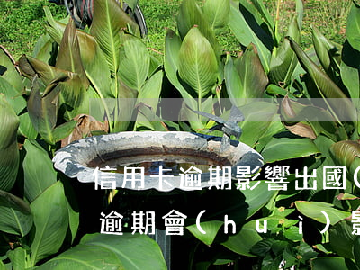 信用卡逾期影響出國(guó)簽證嗎(征信逾期會(huì)影響出國(guó)嗎)