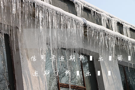 信用卡逾期影響出國留學(xué)(信用卡逾期了影響出國嗎)