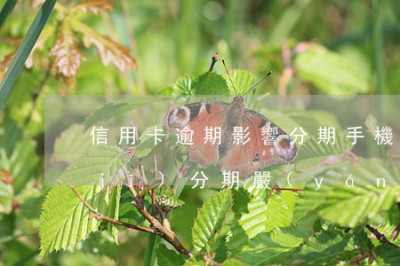 信用卡逾期影響分期手機(jī)嗎(手機(jī)分期嚴(yán)重逾期的后果)