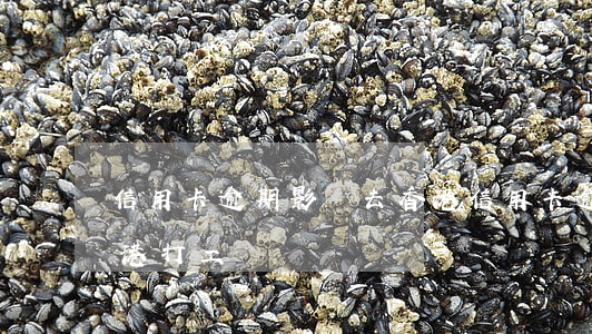 信用卡逾期影響去香港(信用卡逾期影響去香港打工嗎)