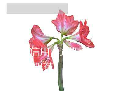信用卡逾期影響參軍政審嗎(政審和信用卡逾期有關(guān)嗎)