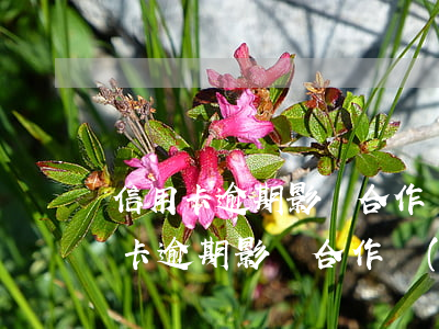 信用卡逾期影響合作醫(yī)療嗎嗎（信用卡逾期影響合作醫(yī)療嗎）