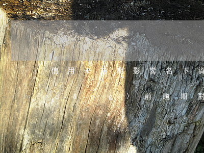 信用卡逾期影響名下資產(chǎn)(當(dāng)前逾期對(duì)信用卡影響)