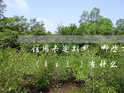信用卡逾期影響哪些方面(信用卡逾期不還會(huì)有什么樣的后果)
