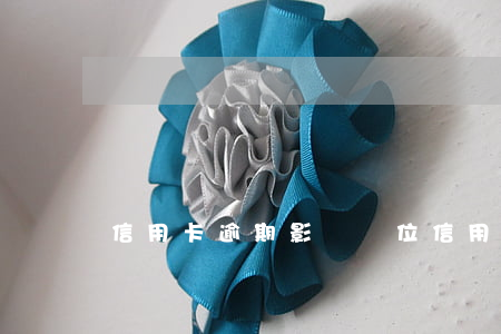信用卡逾期影響單位(信用卡逾期影響單位嗎)