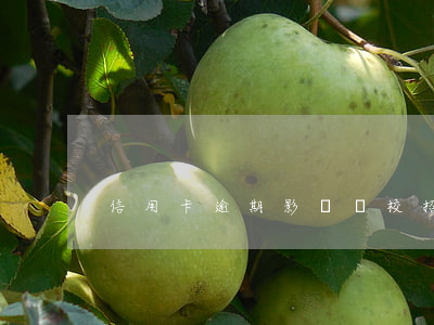 信用卡逾期影響嗎校招