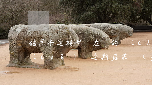 信用卡逾期影響在還的車(chē)貸嗎 車(chē)貸逾期后果嚴(yán)重嗎