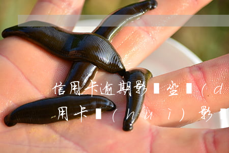 信用卡逾期影響坐動(dòng)車嗎(欠信用卡會(huì)影響坐動(dòng)車飛機(jī)嗎)