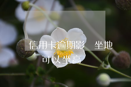 信用卡逾期影響坐地鐵嗎(信用卡逾期為什么還可以坐高鐵)