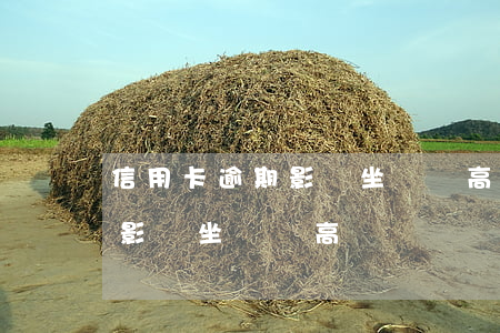 信用卡逾期影響坐飛機高鐵嗎-信用卡逾期影響坐飛機高鐵嗎