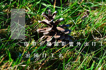 信用卡逾期影響外出打工嗎(欠信用卡逾期能出國打工么)