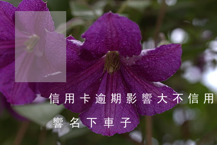信用卡逾期影響大不(信用卡逾期影響大不影響名下車子)