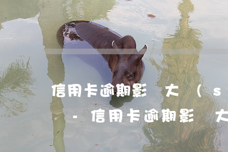 信用卡逾期影響大數(shù)據(jù)嗎-信用卡逾期影響大數(shù)據(jù)嗎怎么辦