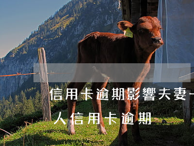 信用卡逾期影響夫妻一家人嗎 夫妻之間有一人信用卡逾期