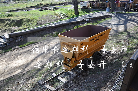 信用卡逾期影響子女升學(xué)(信用卡逾期影響子女升學(xué)嗎知乎)