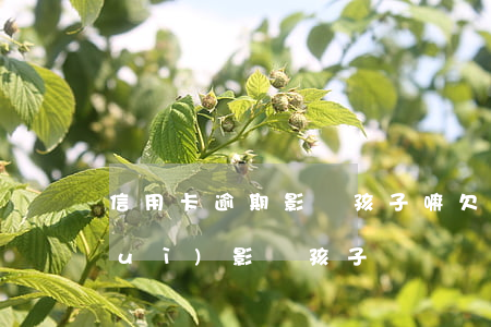 信用卡逾期影響孩子嘛(欠信用卡逾期會(huì)影響孩子嗎)