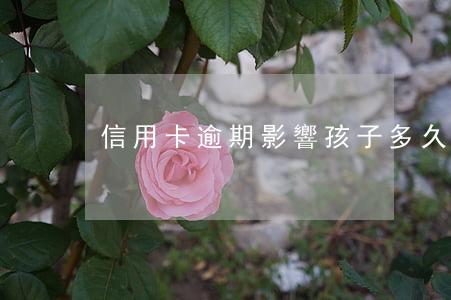 信用卡逾期影響孩子多久