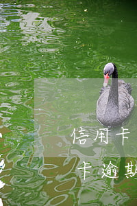 信用卡逾期影響孩子考清華北大嗎-欠信用卡逾期影響孩子上學(xué)嗎