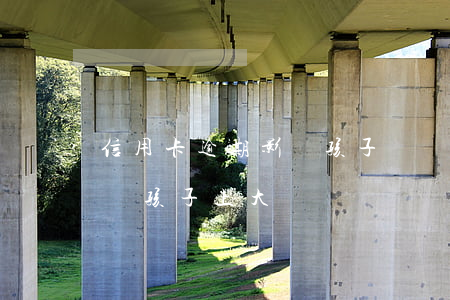 信用卡逾期影響孩子讀書(家長信用卡逾期影響孩子上大學嗎)