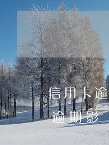 信用卡逾期影響學(xué)駕照嗎(信用卡逾期影響學(xué)駕照嗎)