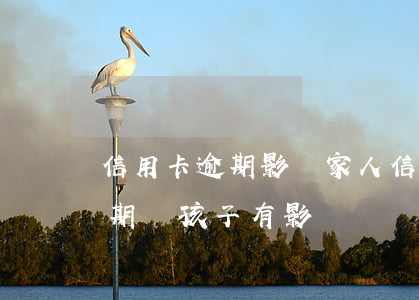 信用卡逾期影響家人信用嗎(父親的信用卡逾期對孩子有影響嗎)