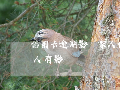 信用卡逾期影響家人信譽嗎(信用卡逾期對家人有影響嗎)