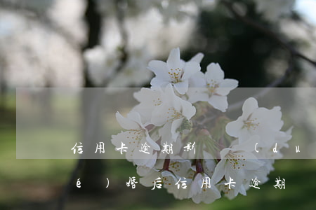 信用卡逾期影響對(duì)方嗎(結(jié)婚后信用卡逾期會(huì)對(duì)對(duì)方有影響嗎)