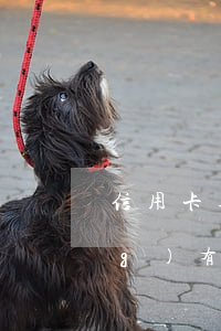 信用卡逾期影響工作嗎(信用卡 曾經(jīng)有逾期 影響)