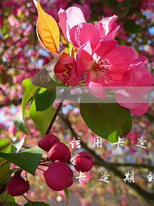 信用卡逾期影響工商注冊嗎(有專門處理信用卡逾期的嗎)