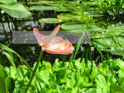 信用卡逾期影響工資卡嗎(信用卡逾期會(huì)影響退休工資領(lǐng)取嗎)