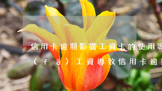 信用卡逾期影響工資卡的使用嗎(公司推遲發(fā)工資導致信用卡逾期)