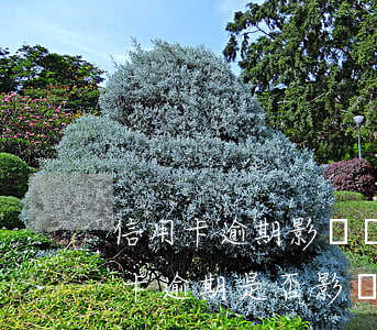 信用卡逾期影響幾年征信記錄-有一次信用卡逾期是否影響個人征信