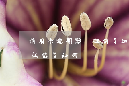 信用卡逾期影響征信了如何(信用卡逾期影響征信了如何)
