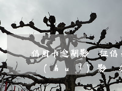 信用卡逾期影響征信多久(逾期幾天還信用卡會(huì)影響征信嗎)