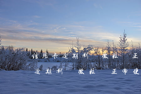 信用卡逾期影響微粒貸正常使用么-信用卡逾期影響微粒貸正常使用么嗎