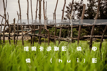 信用卡逾期影響快貸申請(qǐng)(銀行快貸會(huì)影響信用嗎)
