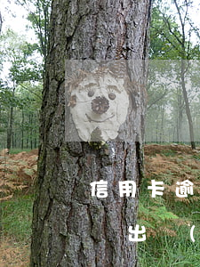 信用卡逾期影響我出國(guó)嗎(逾期影響出國(guó)簽證嗎)